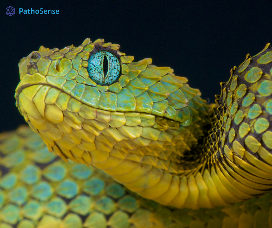 snake exotics PathoSense veterinary diagnostics